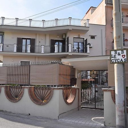B&B Le Cycas Castellammare di Stabia Exterior foto