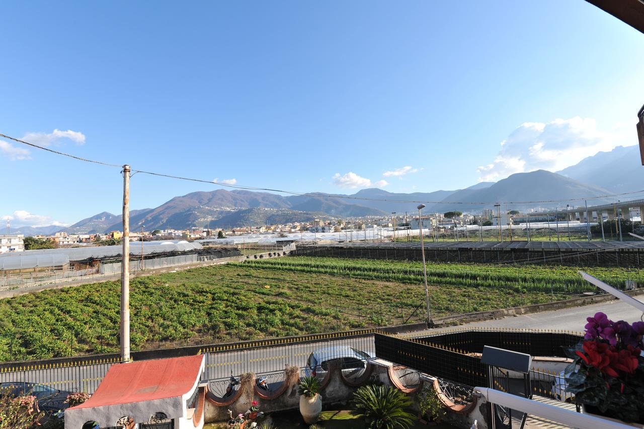B&B Le Cycas Castellammare di Stabia Exterior foto