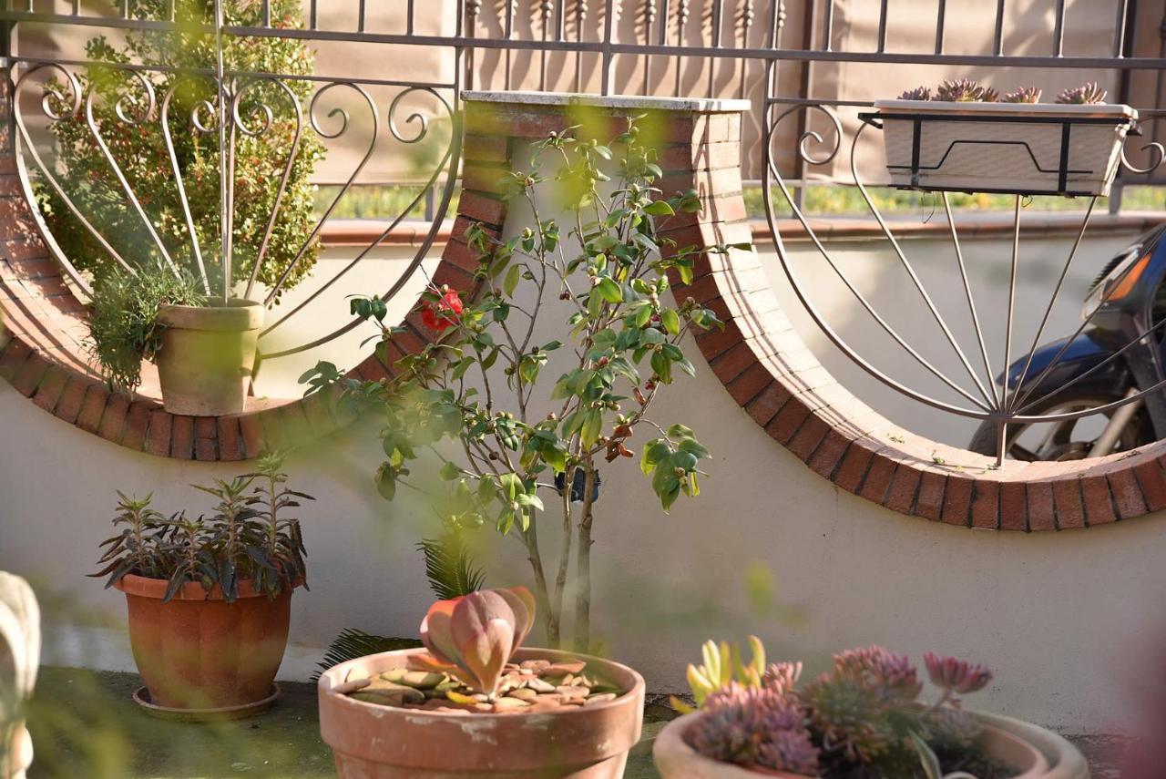 B&B Le Cycas Castellammare di Stabia Exterior foto